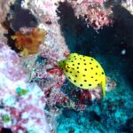 時化ていますが行ってきましたー！