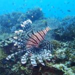 海が荒れてきました～