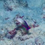 あの子に会っちゃいました！！