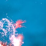 もう冬ですよ！水はまだですけどね！