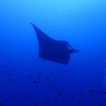 行きます！温泉！