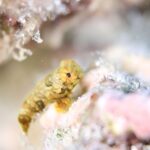 帰ってきました～