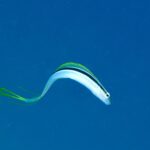 明日からはちゃんと写真撮ります。