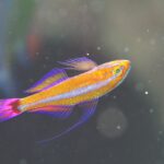 手こずってます。。。。