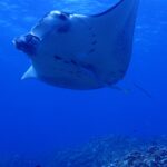 ”今は”勝率１００％