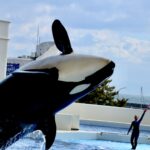 帰ってきて初ダイブはいつも港！