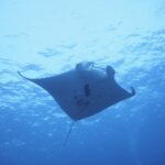 連敗記録はここでSTOP 連敗記録はここでSTOP