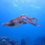 さよなら勝率１００％