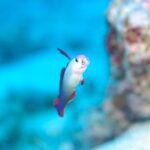 まだいてくれましたか。