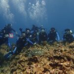 マンタとカメを求めて黒島３本立て！