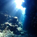 今のところマンタ率１００％です～。